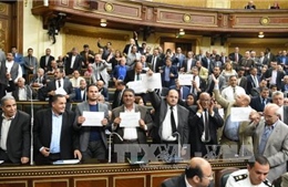 Tòa Hiến pháp Ai Cập đình chỉ chuyển giao các hòn đảo cho Saudi Arabia